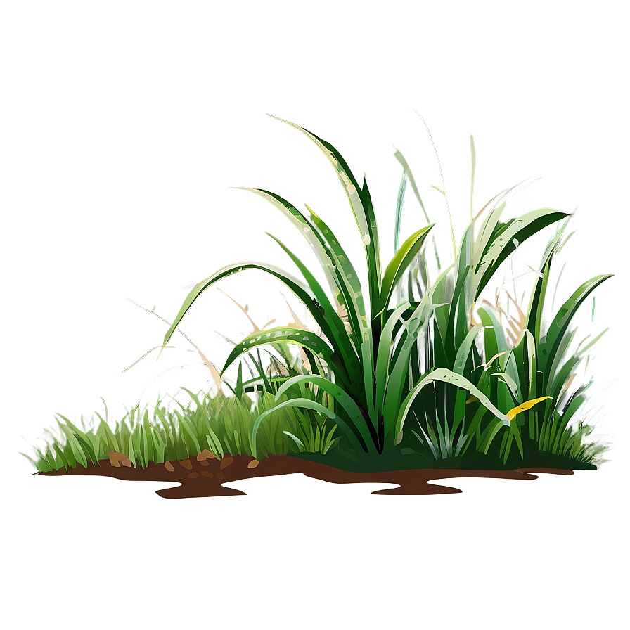 Hand Drawn Grass Clipart Png 06272024 PNG image