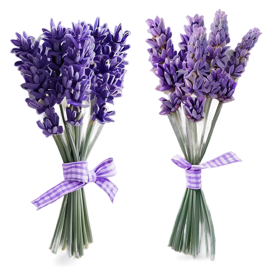 Hand Drawn Lavender Bouquet Png 05062024 PNG image