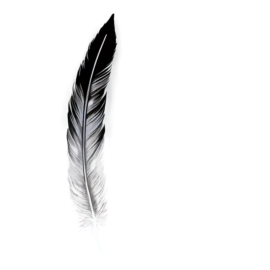 Hand-drawn Mono Feather Png 06242024 PNG image