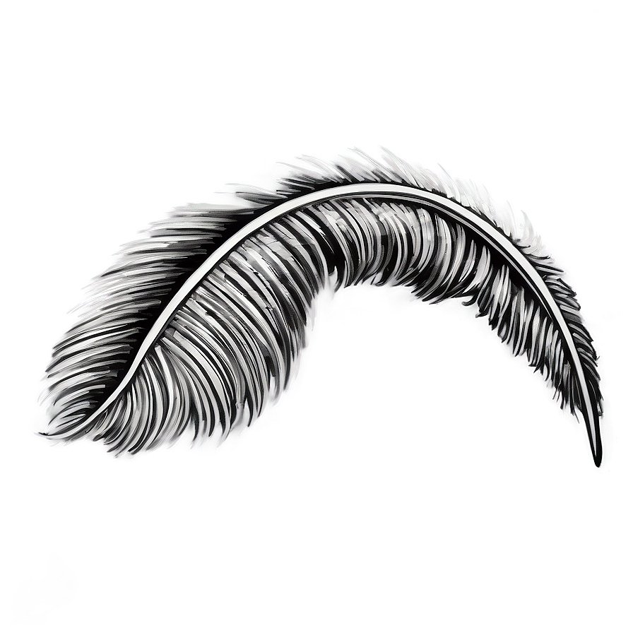 Hand-drawn Mono Feather Png Huf PNG image