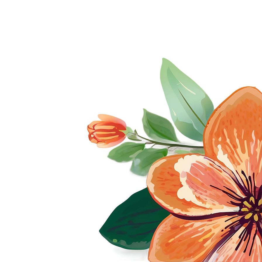 Hand-drawn Orange Floral Png Evn30 PNG image