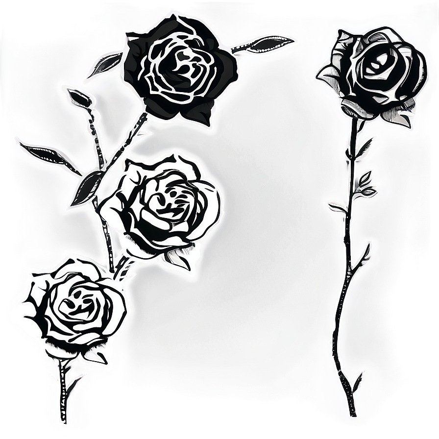 Hand-drawn Rose Black And White Png Qql PNG image