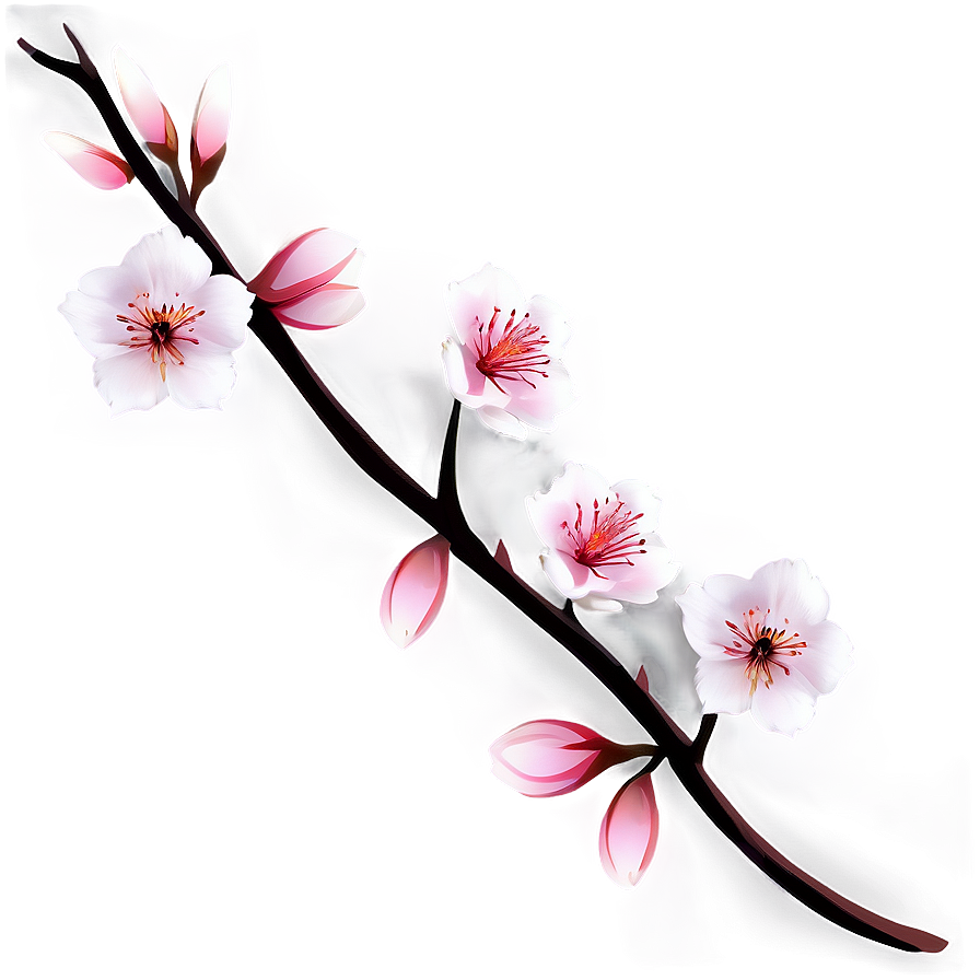 Hand Drawn Sakura Png 50 PNG image