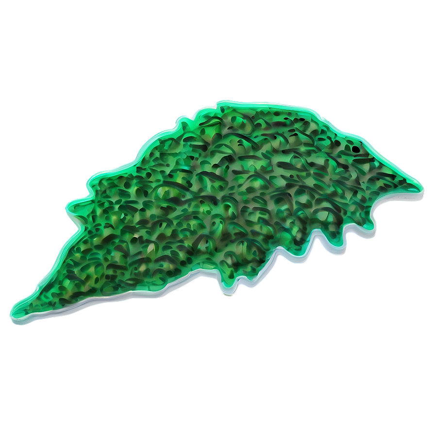 Hand-drawn Seaweed Sketch Png 93 PNG image