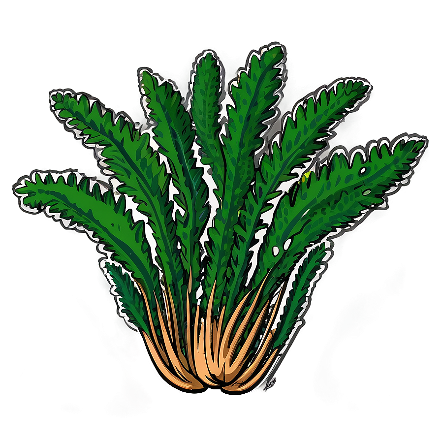 Hand-drawn Seaweed Sketch Png Nuh PNG image