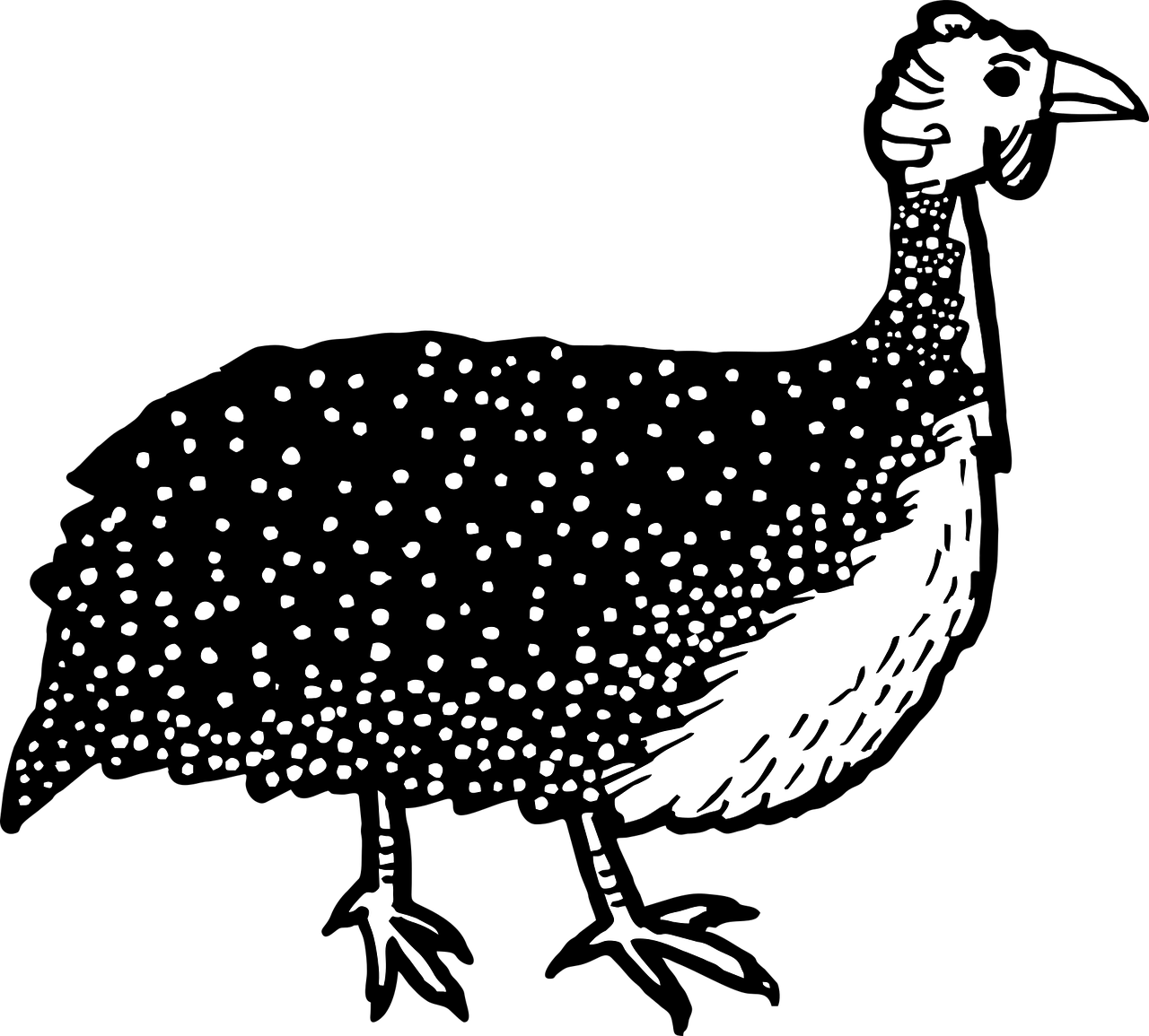 Hand Drawn Spotted Black Bird PNG image