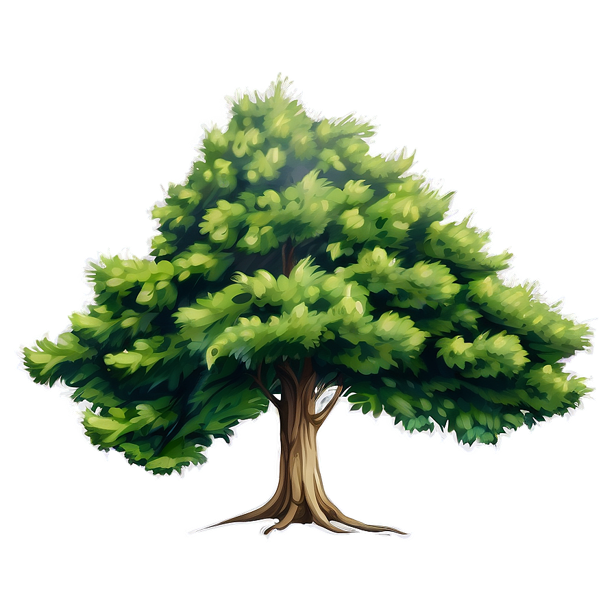 Hand Drawn Tree Elevation Png 85 PNG image