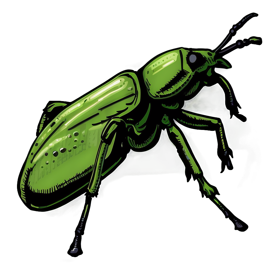 Hand-drawn Weevil Png Ggv PNG image