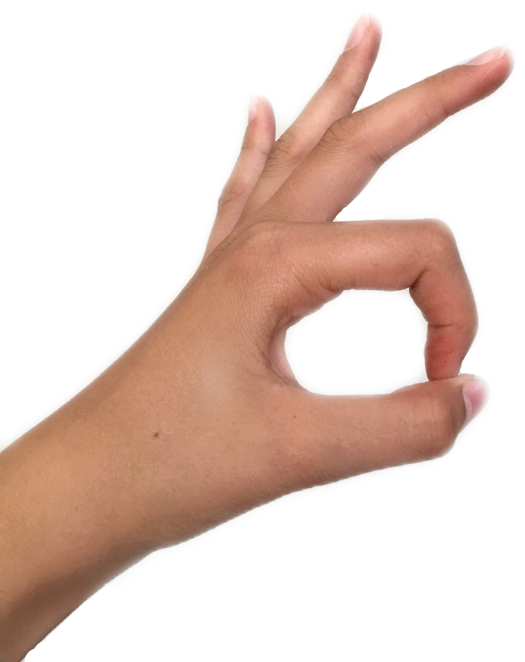 Hand Gesture O K Sign.png PNG image