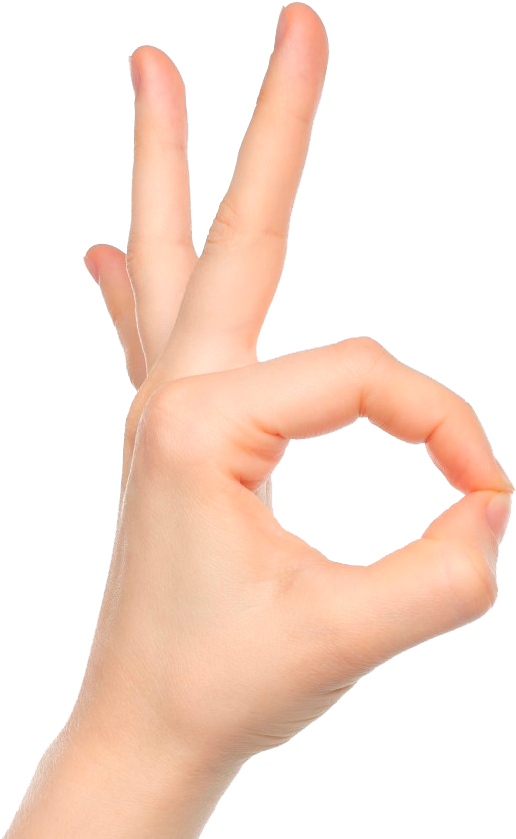 Hand Gesture O K Sign.png PNG image