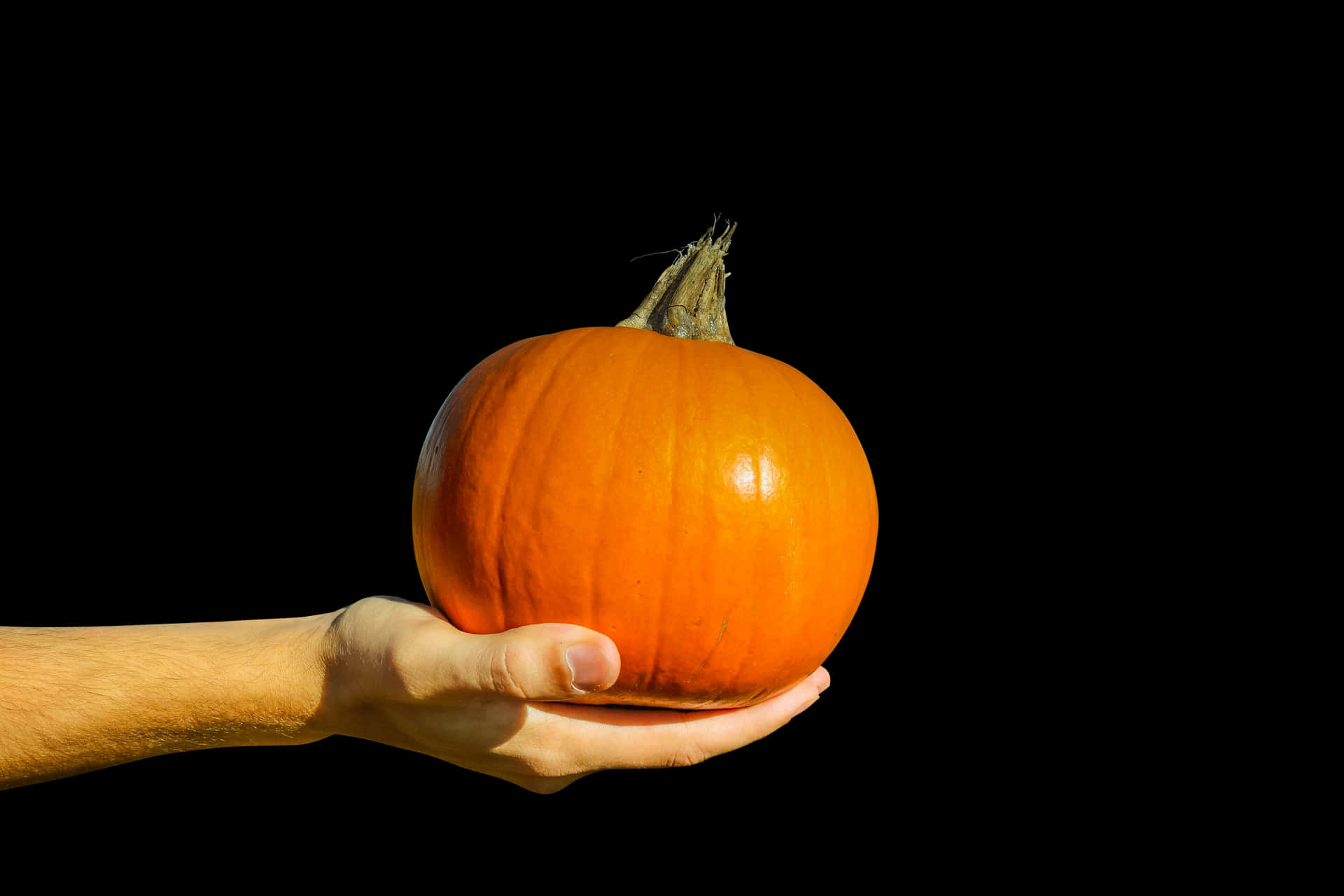 Hand Holding Orange Pumpkin Black Background PNG image