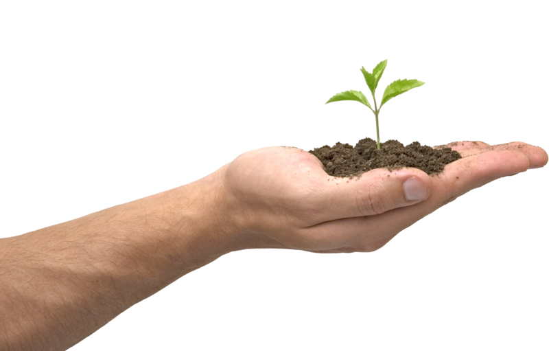 Hand Holding Soil With Sprout PNG image