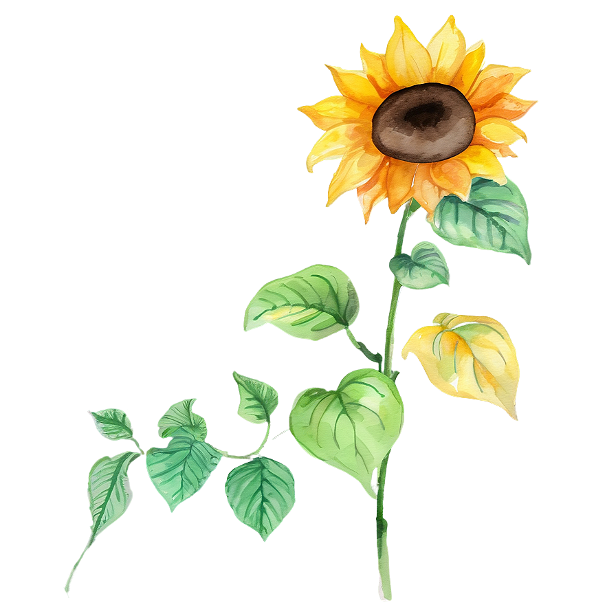 Hand-painted Sunflower Watercolor Png 41 PNG image