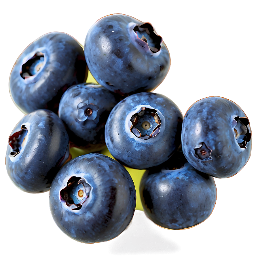 Hand-picked Blueberry Png 64 PNG image