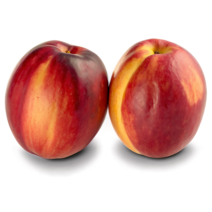 Hand-picked Nectarine Png 06252024 PNG image