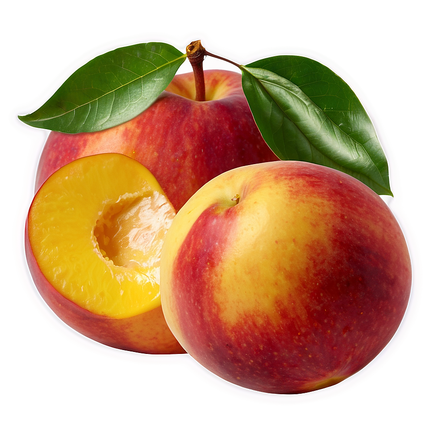 Hand-picked Nectarine Png Vgx PNG image