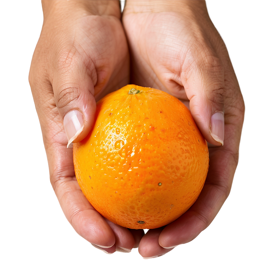 Hand-picked Orange Fruit Png 05032024 PNG image