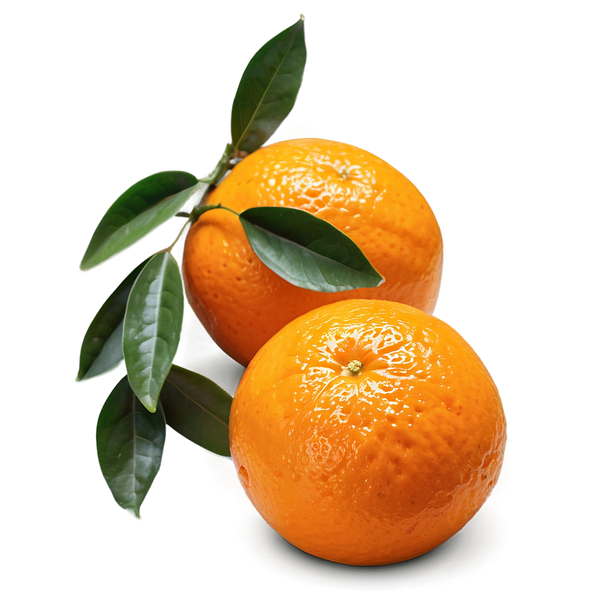 Hand-picked Orange Fruit Png 05032024 PNG image