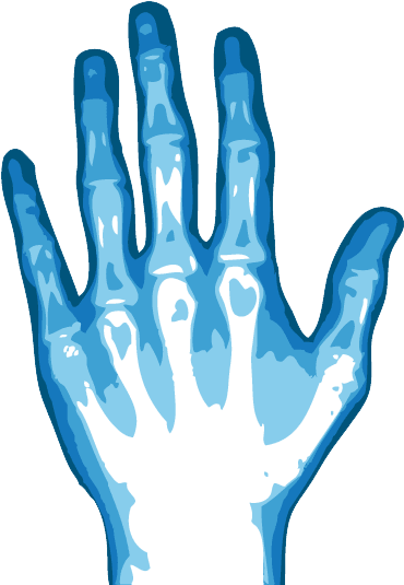 Hand Xray Illustration PNG image