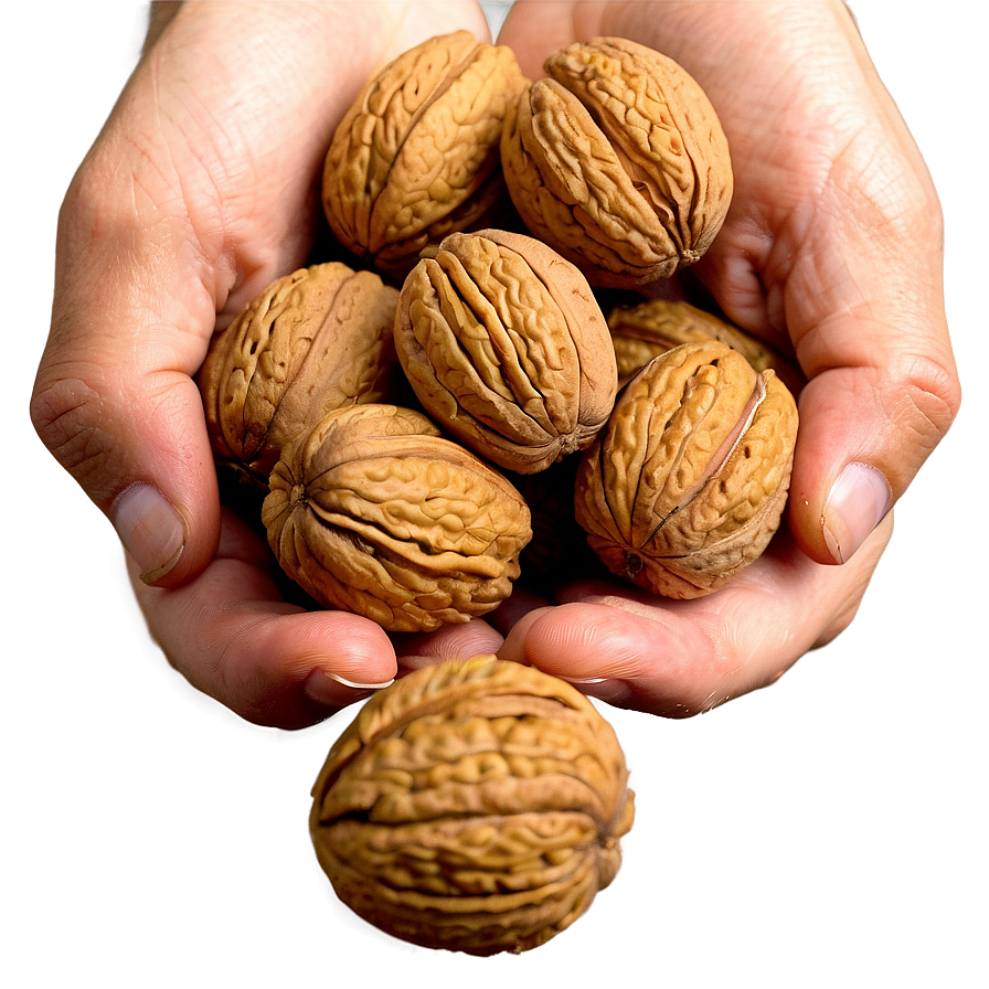 Handful Of Walnuts Png 64 PNG image