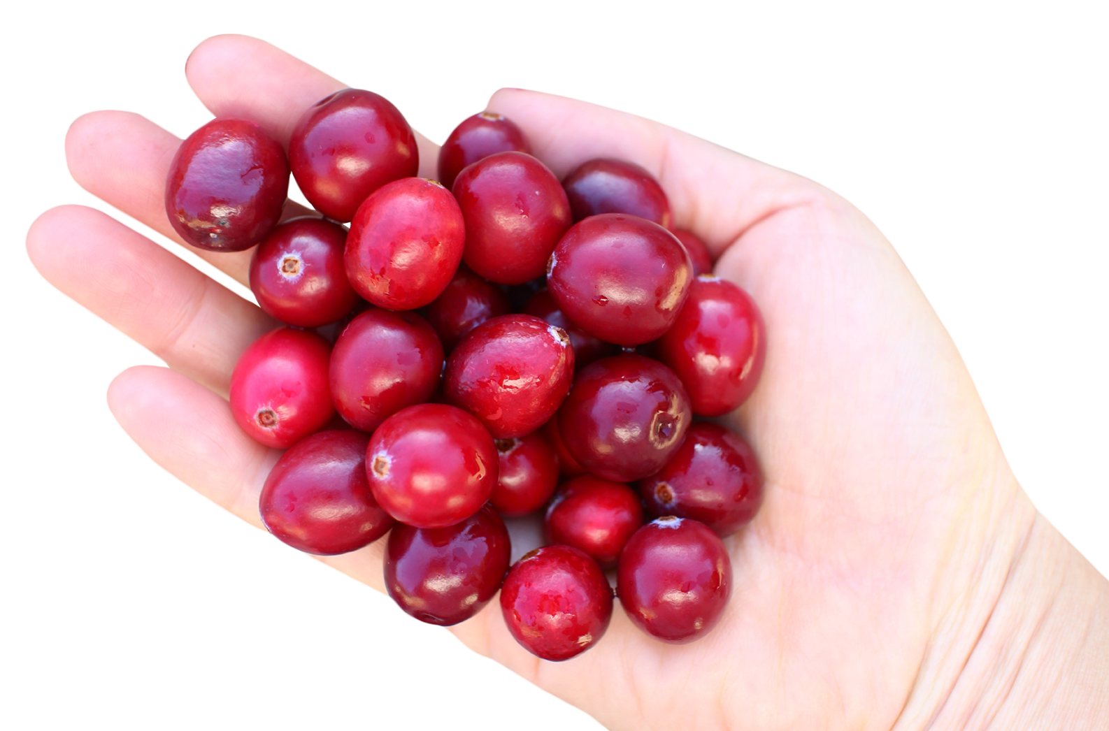 Handfulof Cranberries PNG image