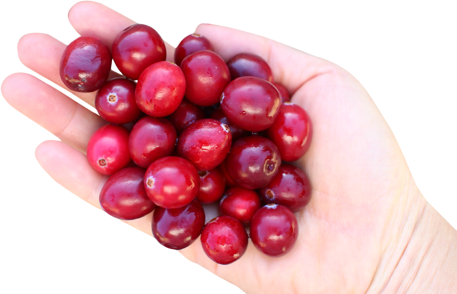 Handfulof Fresh Cranberries PNG image