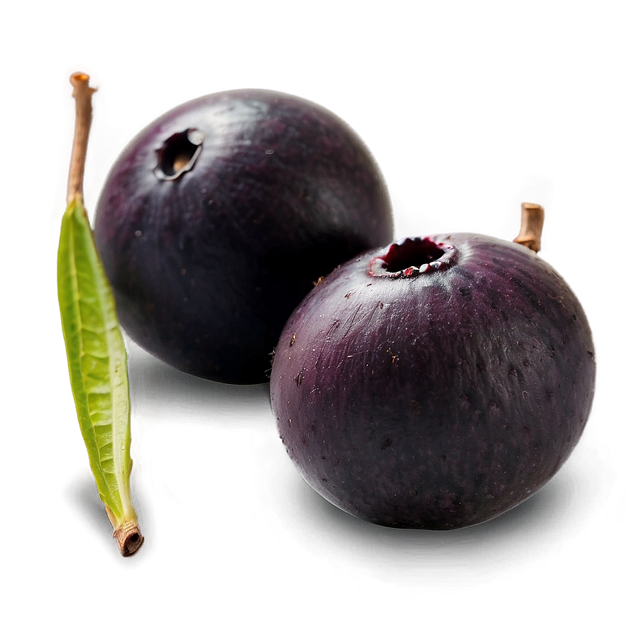 Handpicked Acai Fruit Png 97 PNG image