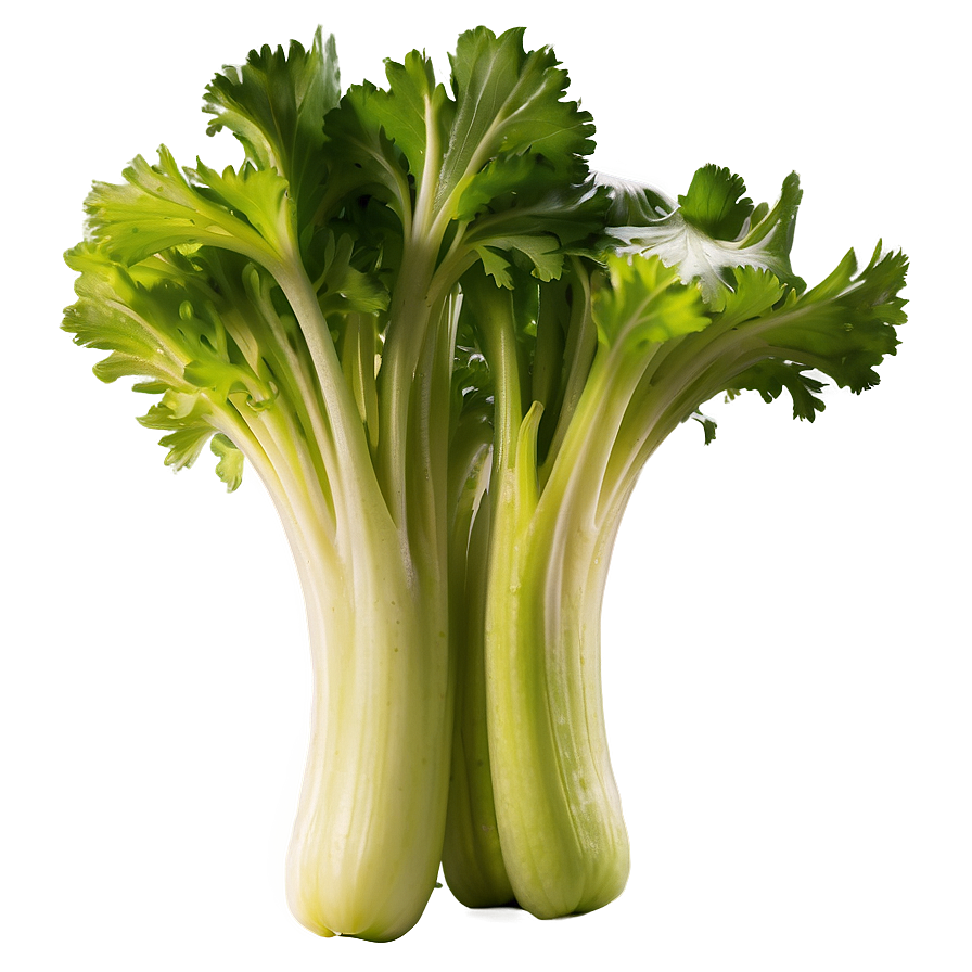 Handpicked Celery Png Bfr51 PNG image