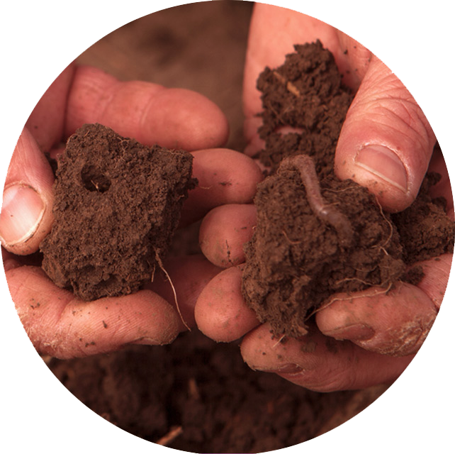 Hands Holding Rich Soil PNG image