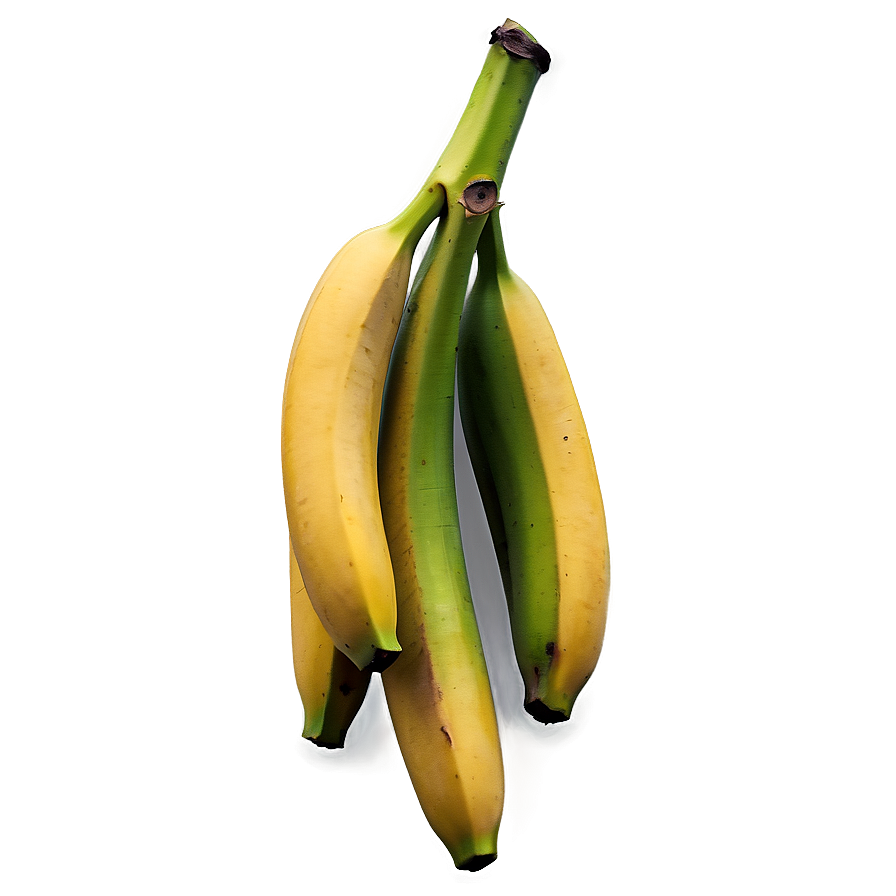 Hanging Banana Branch Png Sqd10 PNG image