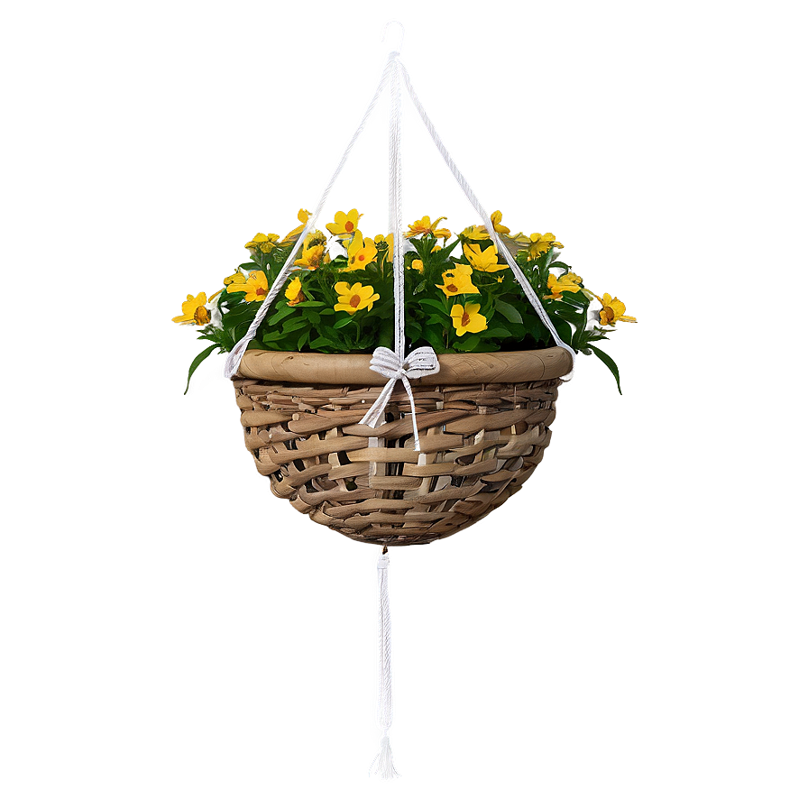 Hanging Basket Png Grr PNG image