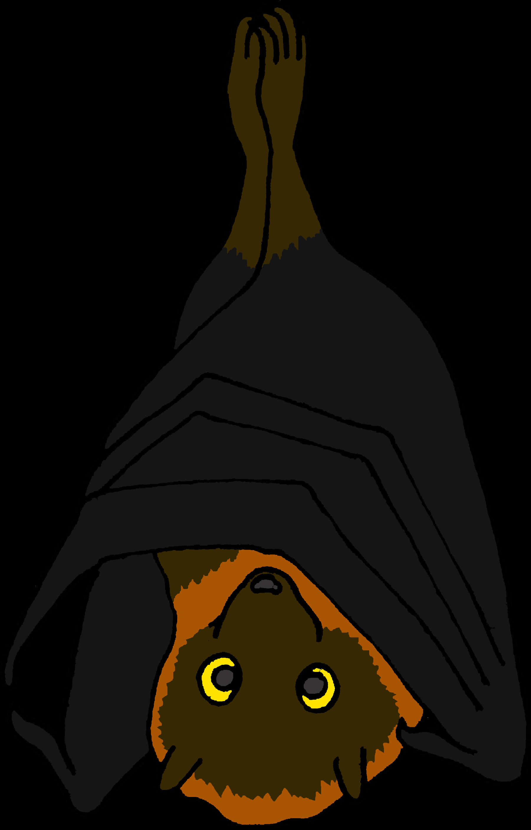 Hanging Bat Illustration PNG image