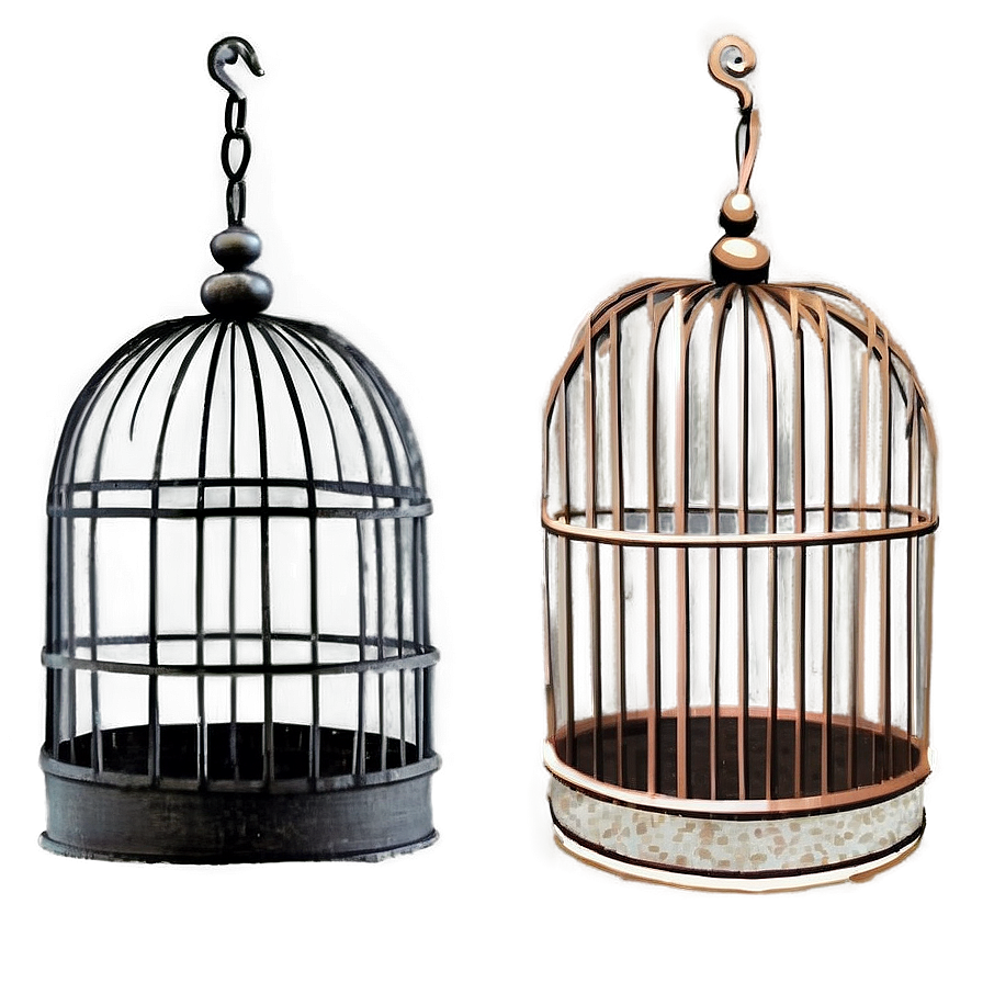 Hanging Bird Cage Png Eij38 PNG image