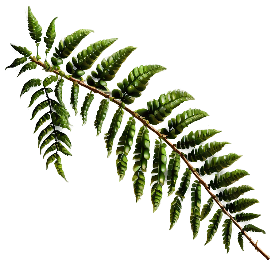 Hanging Fern Leaf Decoration Png 18 PNG image