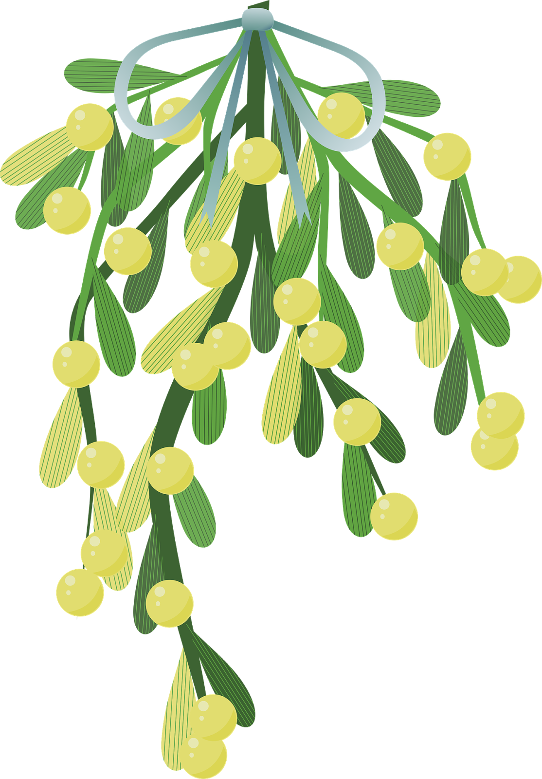 Hanging Mistletoe Illustration PNG image