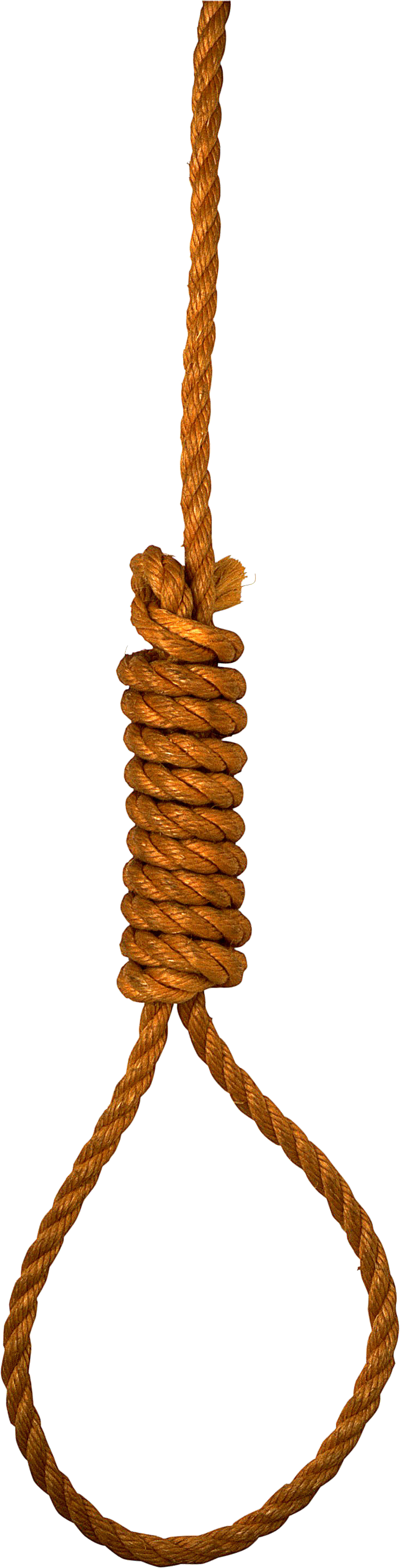 Hanging Noose Rope Loop PNG image