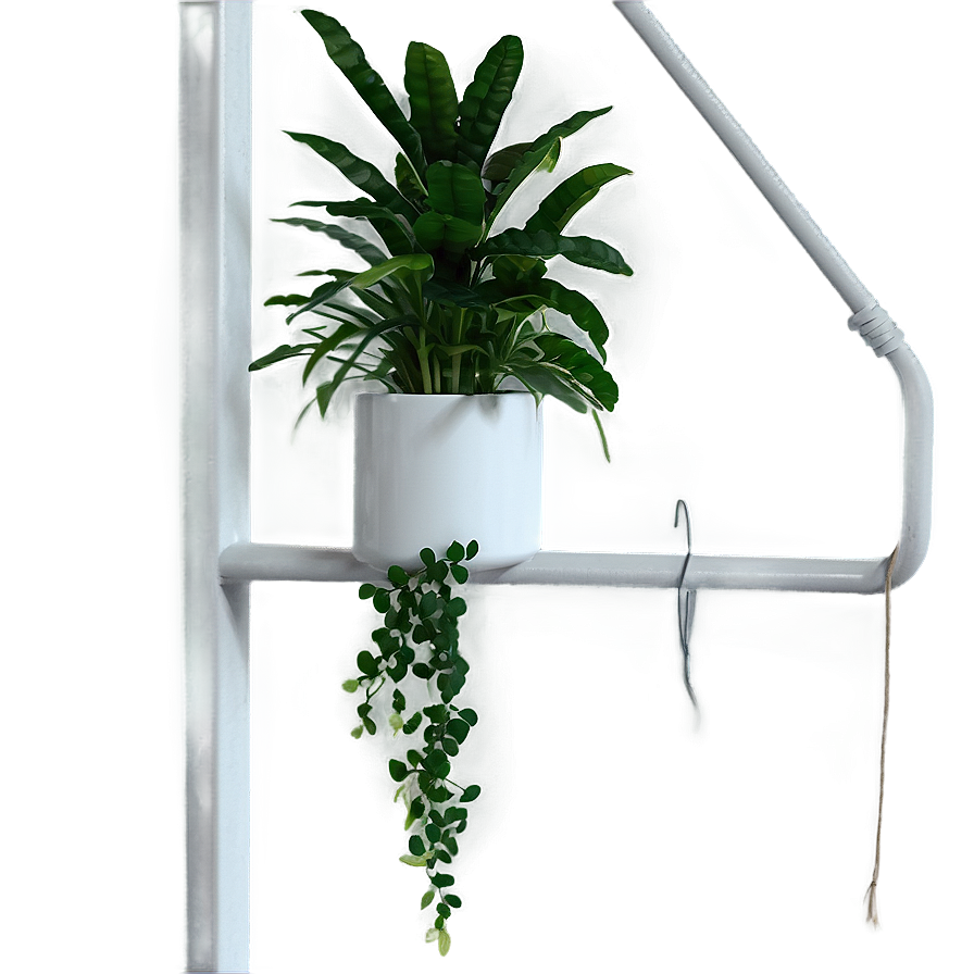 Hanging Plant Corner Png 05252024 PNG image