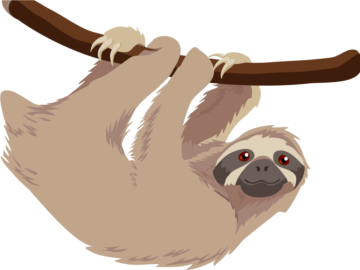 Hanging Sloth Cartoon PNG image