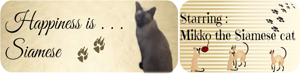 Happiness Siamese Cat Banner PNG image