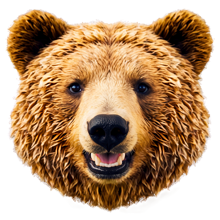 Happy Bear Face Graphic Png Aui PNG image