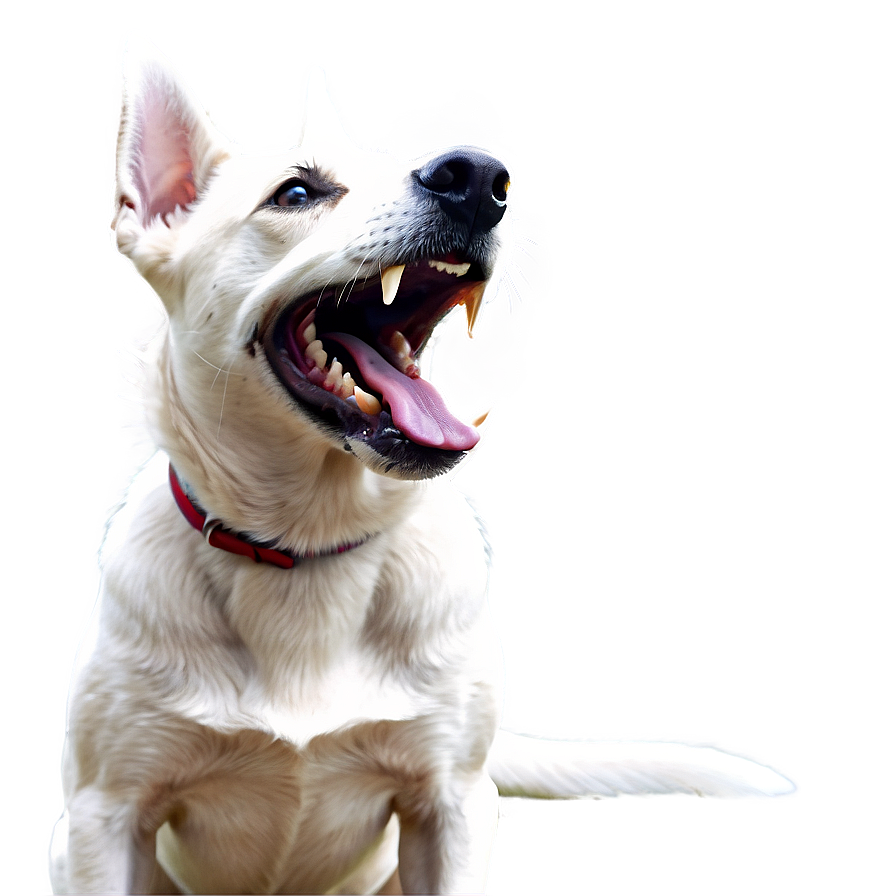 Happy Dog Barking Png 06272024 PNG image