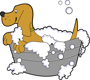 Happy Dog Bath Time PNG image