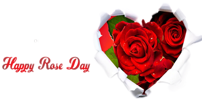 Happy Rose Day Heart Shaped Roses PNG image