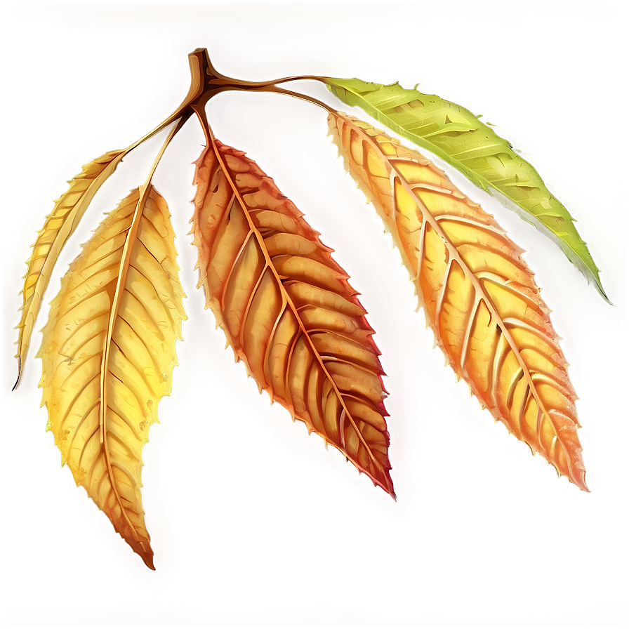 Harvest Leaves Png 4 PNG image