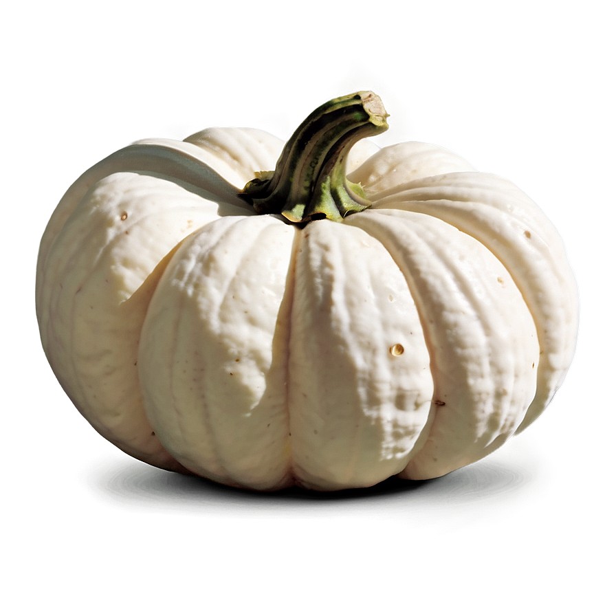 Harvest White Pumpkin Png 06212024 PNG image