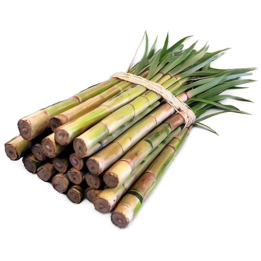 Harvested Sugarcane Bundle Png Akw10 PNG image