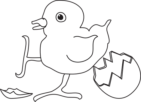 Hatching Chick Illustration PNG image