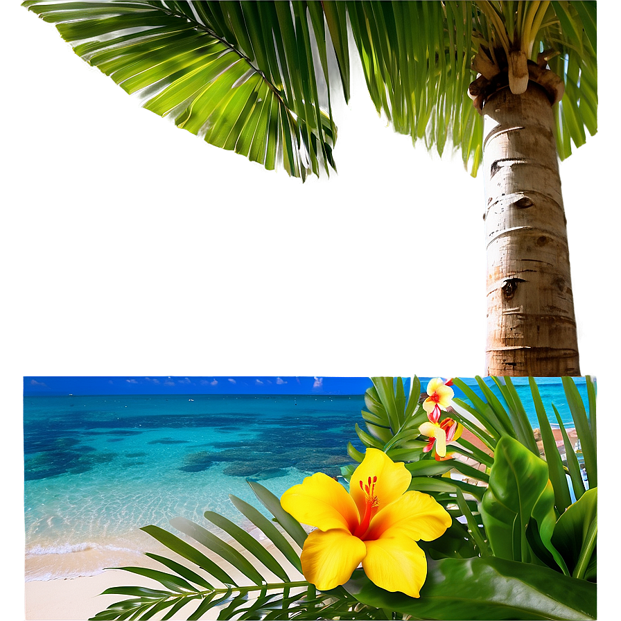 Hawaiian Islands Beach Paradise Png Mrw20 PNG image