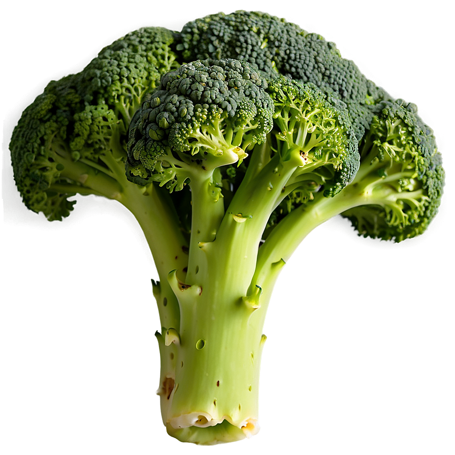 Healthy Broccoli Png Jci40 PNG image