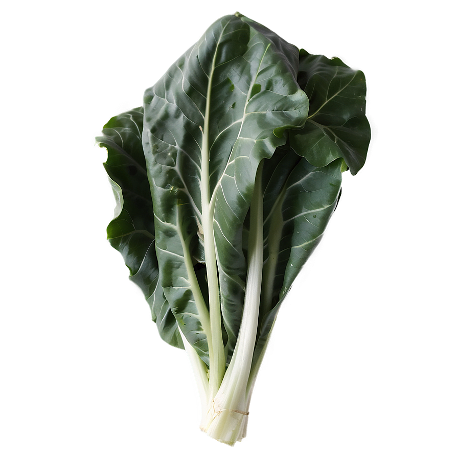 Healthy Collard Greens Png 74 PNG image